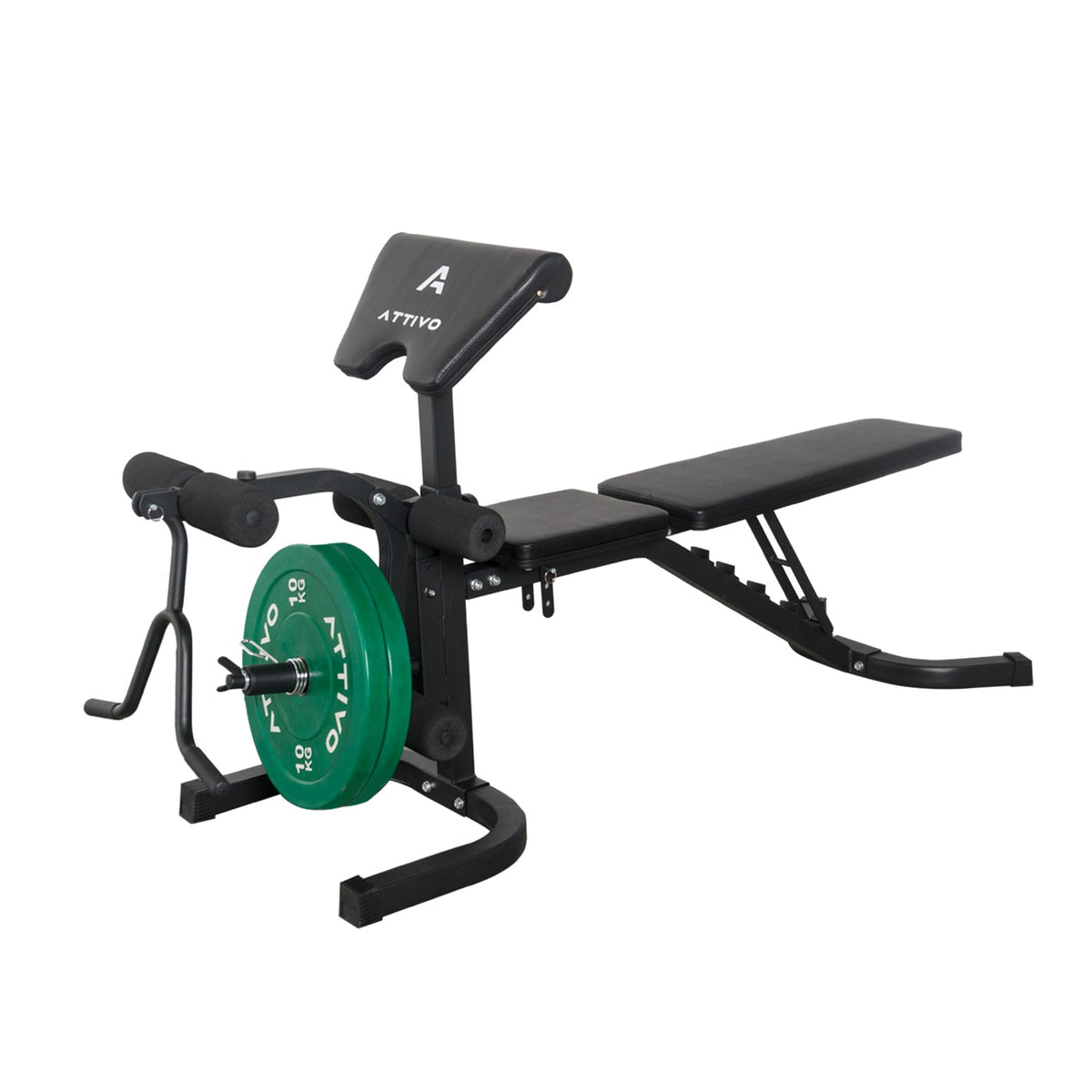 Adjustable Olympic Weight Bench with Preacher Curl Pad