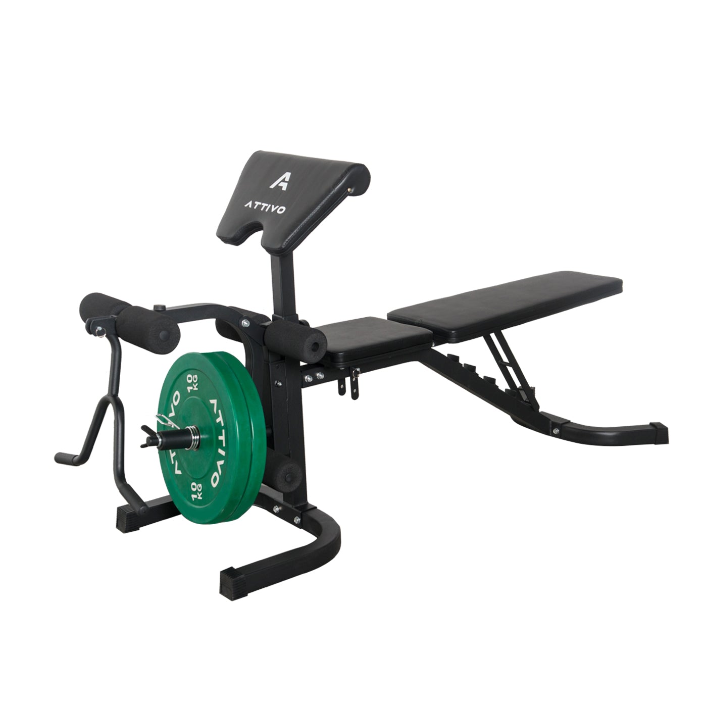 Adjustable Olympic Weight Bench with Preacher Curl Pad