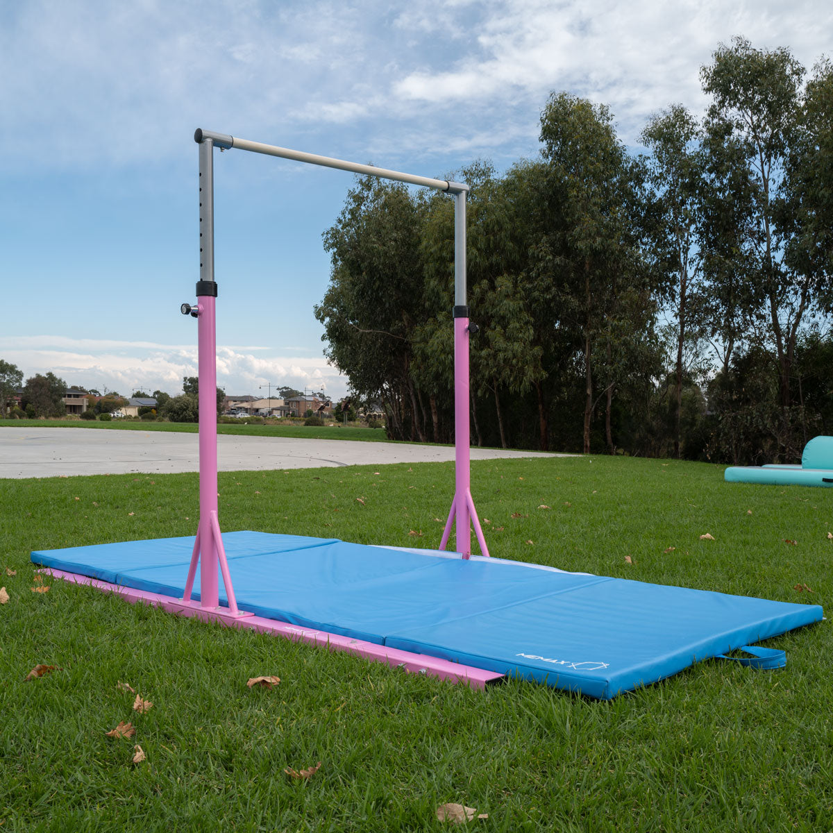 Advanced Gymnastic Horizontal Bar Long Base Training Bar Adjustable Height Kip Bar (Pink)